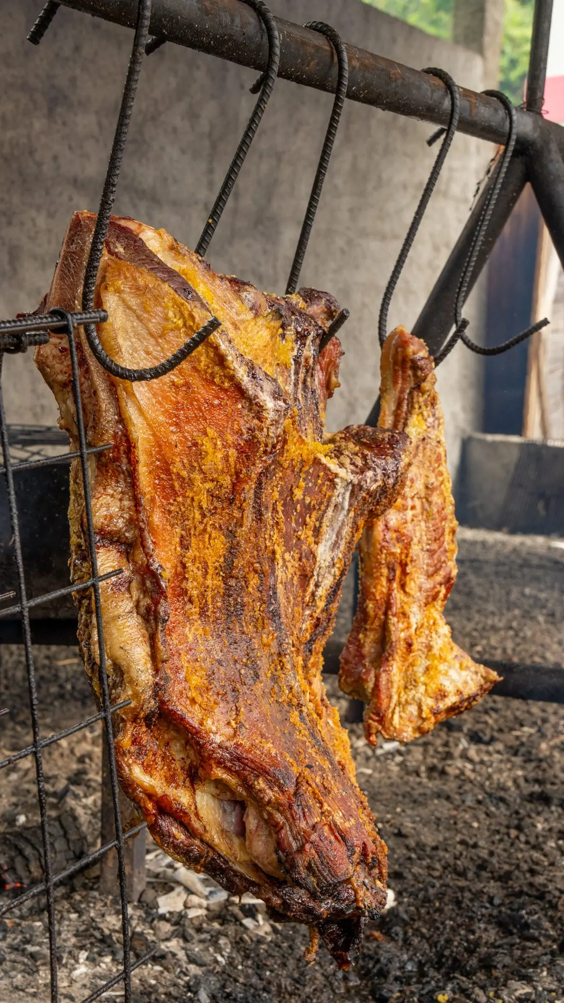 Costela bovina inteira assando no fogo de chão do Rancho Santa Inês